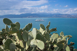 Opuntia cacti and cruise ship seen from Acronauplia, Nafplio, Nauplia, Peloponnese, Greece