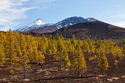 Kraterlandschaft des Teide Nationalparks, Teneriffa, Spanien