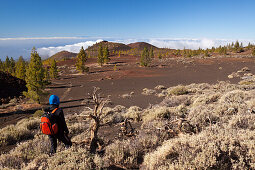 Kraterlandschaft des Teide Nationalparks, Teneriffa, Spanien