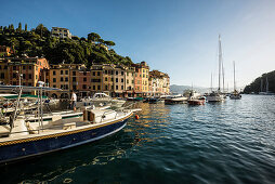 Portofino und Hafen von Portofino, Provinz Genua, Riviera di Levante, Ligurien, Italien