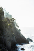 Coastline near Portofino, province of Genua, Italian Riviera, Liguria, Italy