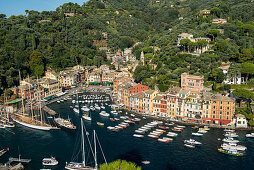Portofino mit Blick auf den Hafen, Provinz Genua, Riviera di Levante, Ligurien, Italien