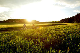 Two cyclists riding electric bicycles between fields, Tanna, Thuringia, Germany