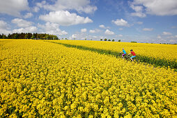 Two cyclists riding electric bicycles between blooming canola fields, Tanna, Thuringia, Germany