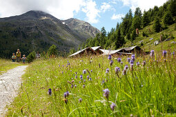 Alpine hut and pasture near Soelden, Tyrol, Austria