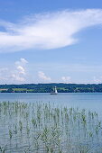 Westufer bei Bernried, Starnberger See, Oberbayern, Bayern, Deutschland