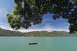 Blick von Tegernsee auf das Westufer des Tegernsee, Oberbayern, Bayern, Deutschland