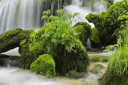 Waterfall, detail, Cirque de la Consolation, Doubs, France