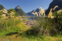 Milford Sound, Fiordland Nationalpark, Southland, Südinsel, Neuseeland