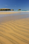 Sandy beach at Tautuku Bay, Otago, South Island, New Zealand