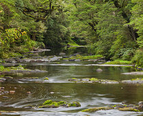 Catlins River, Southland, Südinsel, Neuseeland