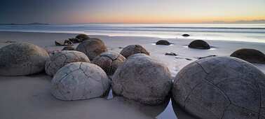 Moeraki Boulders im Morgenlicht, Otago, Südinsel, Neuseeland