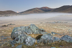 Sunrise over a meadow, Rocks, Otago, South Island, New Zealand