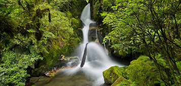 Whirinaki Falls, Whirinaki Forest Park, Bay of Plenty, Nordinsel, Neuseeland