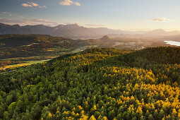 Blick vom Pyramidenkogel, Nadelwald, Karawanken, Kärnten, Österreich
