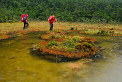 Two mountaineers in rain passing rainforest at the foot of Monte Sarmiento, Tierra del Fuego, Chile