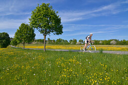 Young woman riding a racing bicycle, Upper Bavaria, Germany