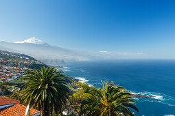 Blick von El Sauzal auf den Teide, 3718m, mit Schnee, Wahrzeichen der Insel, Palmen, vulkanischer Berg, Küste, Atlantik, Teneriffa, Kanarische Inseln, Spanien, Europa