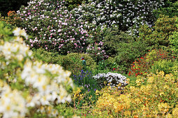 Minterne Gardens, Dorset, England, Grossbritannien