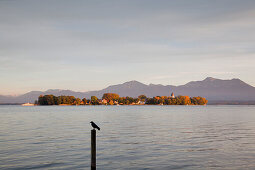 Blick über den Chiemsee zur Fraueninsel, bei Gstadt, Chiemsee, Chiemgau, Bayern, Deutschland