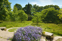 Orchard, Great Dixter Gardens, Northiam, East Sussex, Großbritannien