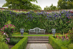 Bank mit Clematis im Rose Garden, Sissinghurst Castle Gardens, Kent, Großbritannien