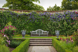 Bench with clematis at the Rose Garden, Sissinghurst Castle Gardens, Kent, Great Britain