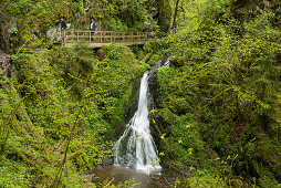 Lotenbachklamm, Wutachschlucht, near Bonndorf,  Black Forest, Baden-Wuerttemberg, Germany