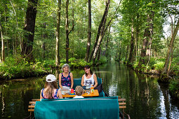 Boat tour in Spreewald, Spree, UNESCO biosphere reserve, Lübbenau, Brandenburg, Germany, Europe