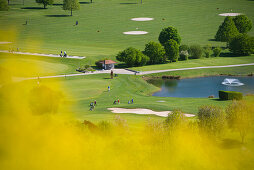 Aerial view of a golf course, near Freiburg im Breisgau, Black Forest, Baden-Wuerttemberg, Germany