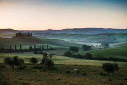 Landhaus und Zypressen bei Sonnenaufgang, bei San Quirico d'Orcia, Val d'Orcia, Provinz Siena, Toskana, Italien, UNESCO Welterbe