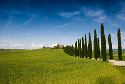 country residence and cypress trees, near San Quirico d`Orcia, Val d`Orcia, province of Siena, Tuscany, Italy, UNESCO World Heritage