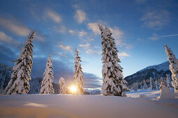 Winter scenery, Passo Monte Croce di Comelico, South Tyrol, Italy