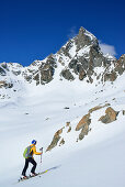 Frau auf Skitour steigt zum Piz Kesch auf, Engadin, Kanton Graubünden, Schweiz