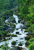 Waldbach, Echern Valley, Hallstatt, Salzkammergut, Upper Austria, Austria