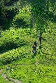 Three hikers passing a meadow, Blauberge, Bavarian Prealps, Upper Bavaria, Bavaria, Germany