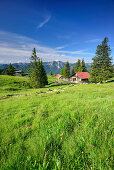 Hut Hubertushuette with Hochmiesing and Spitzing area in background, Breitenstein, Mangfall Mountains, Bavarian Prealps, Upper Bavaria, Bavaria, Germany