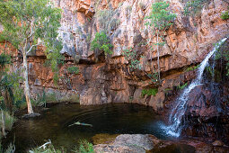 Ein Mann schwimmt im natürlichen Pool der Liliy Creek Lagoon mit Wasserfall von einer hohen Wand aus rotem Gestein, nahe Kununurra, Western Australia, Australien