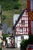 Punderich on the river Mosel, Hunsruck, Rhineland-Palatinate, Germany