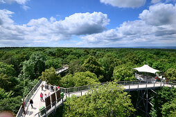 Treetop walk way in Hainich National Park, Thuringia, Germany