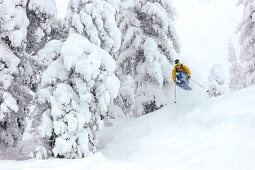 Skifahrer springt durch den tief verschneiten Wald, Kaltenbach, Zillertal, Österreich
