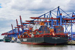 Frachtschiffe am Container-Terminal Burchardkai, Waltershof, Hamburg, Deutschland