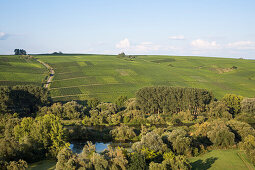 View from Escherndorfer Fuerstenberg vineyard to Mainschleife from Main river to vineyards behind, near Escherndorf, Franconia, Bavaria, Germany