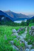 Steinplattenweg führt durch Wiese, Lago di Mezzola im Hintergrund, Val Codera, Sentiero Roma, Bergell, Lombardei, Italien