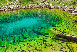 Blue-green mountain lake, lake Lago Caserina, Lagorai range, Dolomites, UNESCO world heritage Dolomites, Trentino, Italy