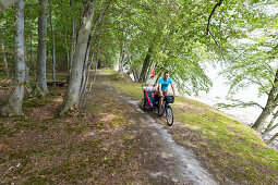 Fahrradfahrer mit Kinderanhänger fährt über Waldweg, Naesgaard, Falster, Dänemark