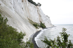 Chalk cliffs Mons Klint, Klintholm, Island Mon, Denmark