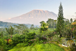 Tropische Landschaft mit Blick auf Gunung Agung, bei Sidemen, Bali, Indonesien