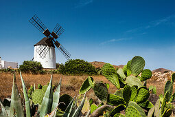 Windmill, museum Centro de Interpretacion de los Molinas, Antigua, Fuerteventura, Canary Islands, Spain