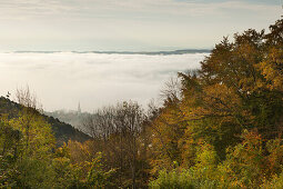 Mist at Lake Constance, view to Sipplingen, Lake Constance, Baden-Wuerttemberg, Germany